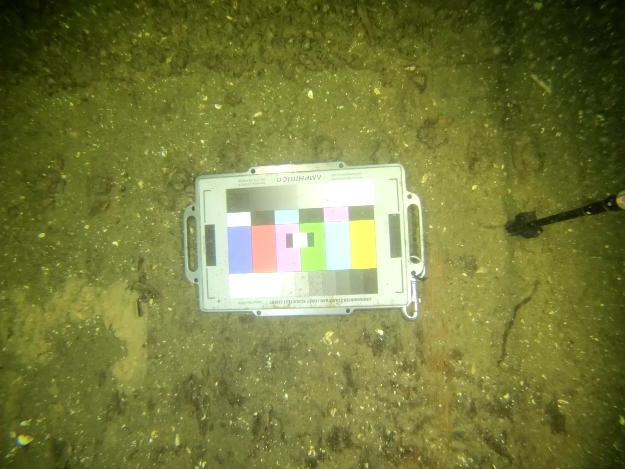 Example of the colour chart being overexposed